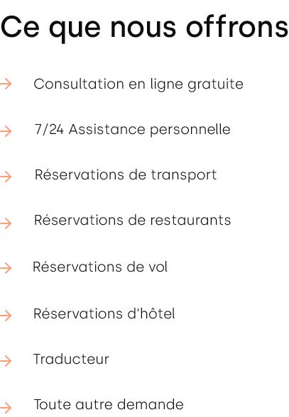 Consultation-en-ligne-gratuite